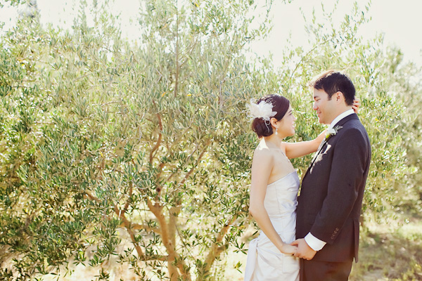 a-sonoma-wedding-the-viansa-winery