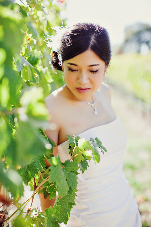 a-sonoma-wedding-the-viansa-winery