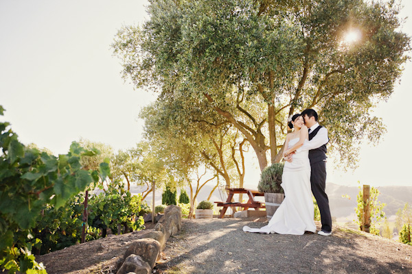 a-sonoma-wedding-the-viansa-winery