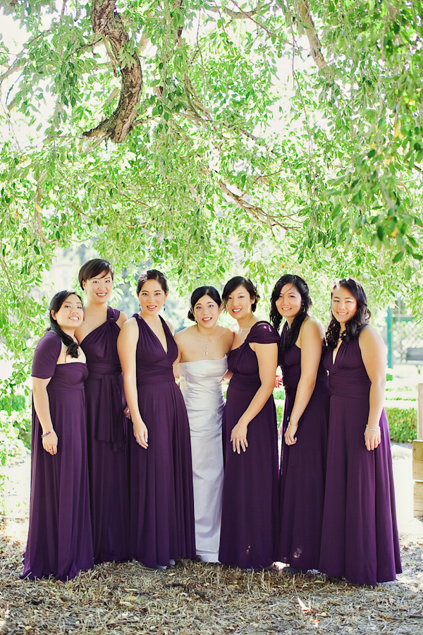 a-sonoma-wedding-the-viansa-winery