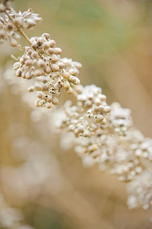 african-safari-wedding-ideas