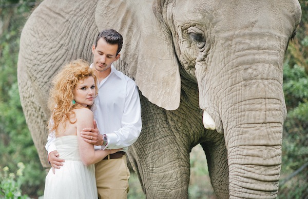 african-safari-wedding-ideas