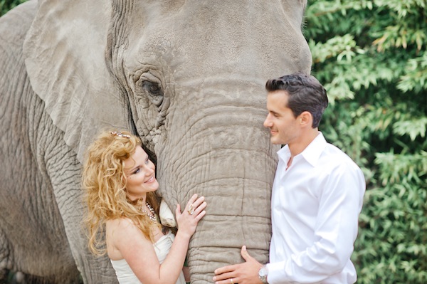 african-safari-wedding-ideas