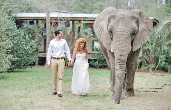 african-safari-wedding-ideas