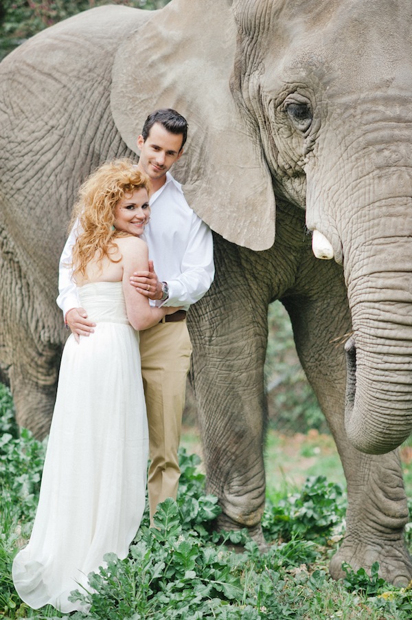 african-safari-wedding-ideas