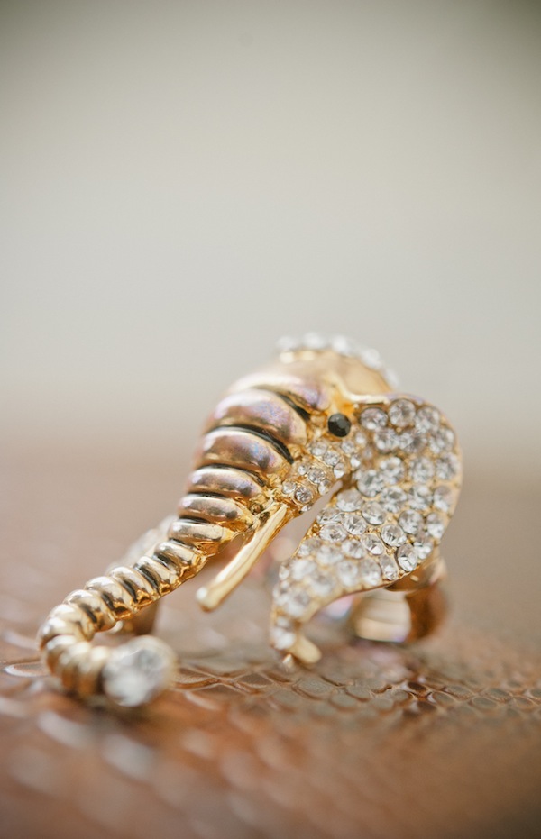 african-safari-wedding-ideas