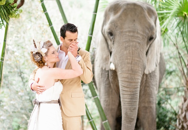 african-safari-wedding-ideas