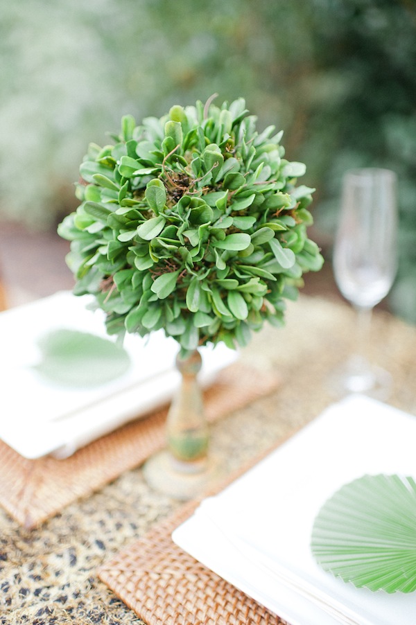 african-safari-wedding-ideas