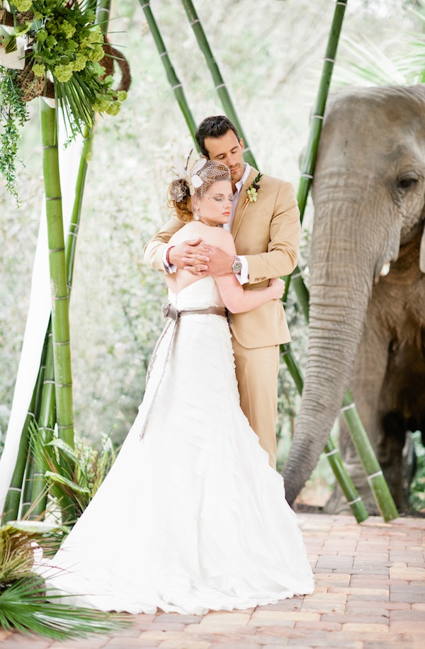 african-safari-wedding-ideas
