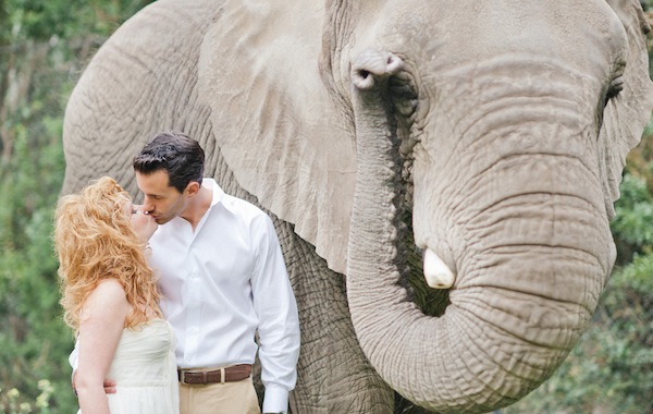 african-safari-wedding-ideas