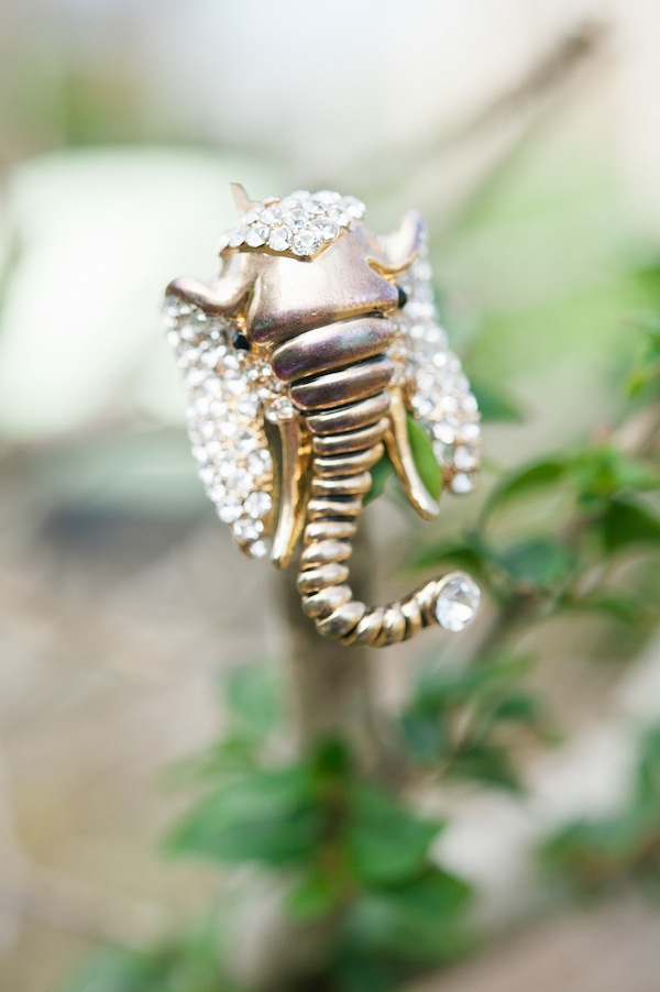 african-safari-wedding-ideas