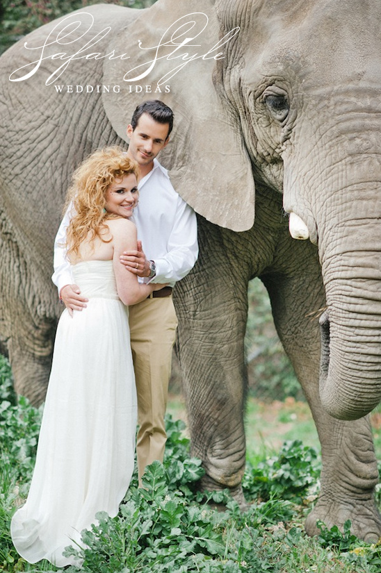 African Safari Wedding Ideas