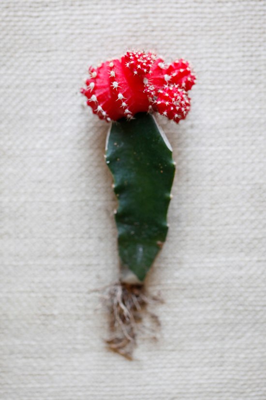 black-and-red-wedding-flowers