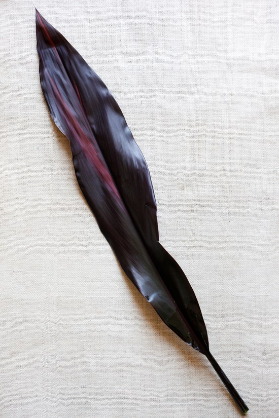 black-and-red-wedding-flowers