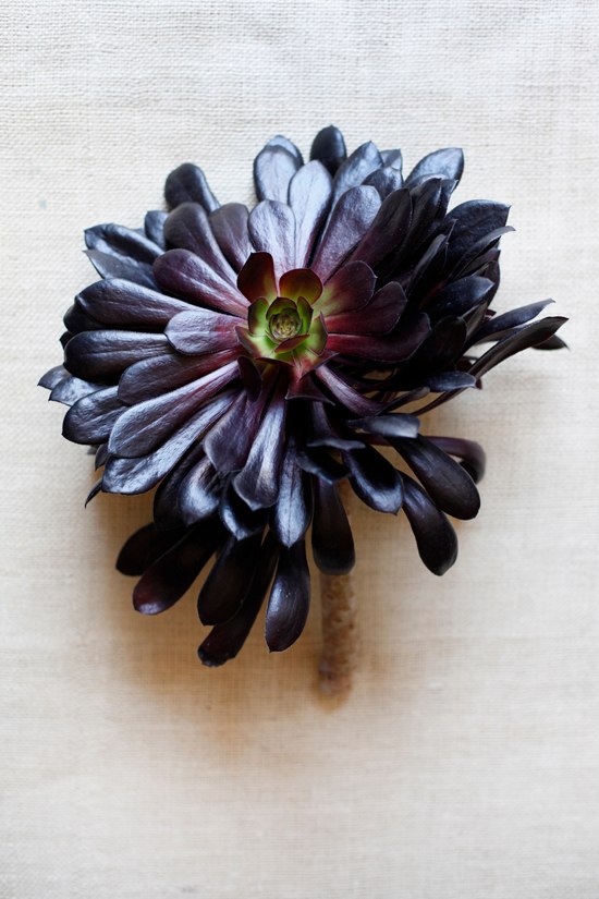 black-and-red-wedding-flowers