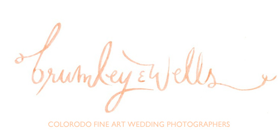 Brumley And Wells Wedding Photographers