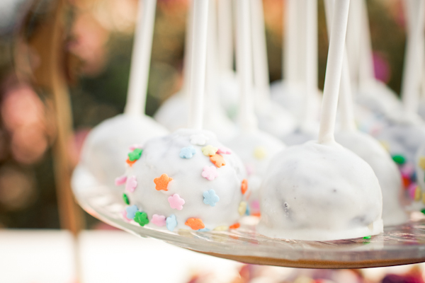 budget-friendly-malibu-wedding