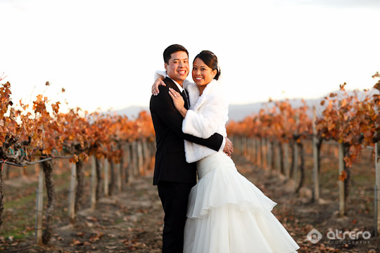 ponte winery wedding