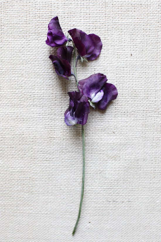 purple-and-red-wedding-flowers