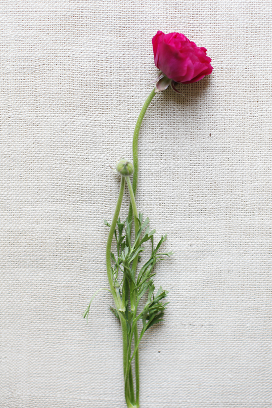 purple-and-red-wedding-flowers