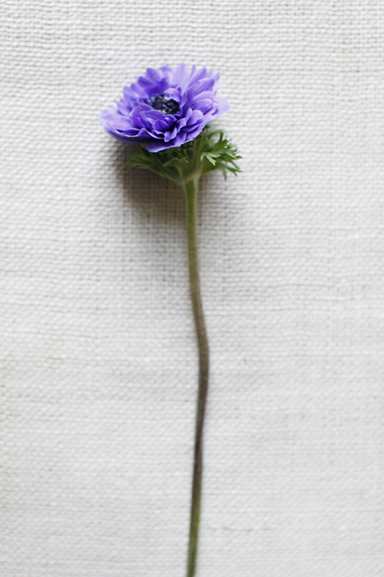 purple-and-red-wedding-flowers