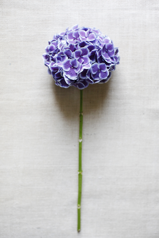 purple-and-red-wedding-flowers