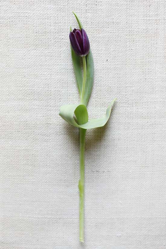 purple-and-red-wedding-flowers