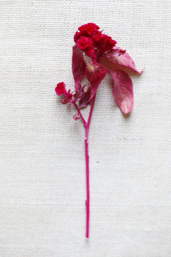 purple-and-red-wedding-flowers