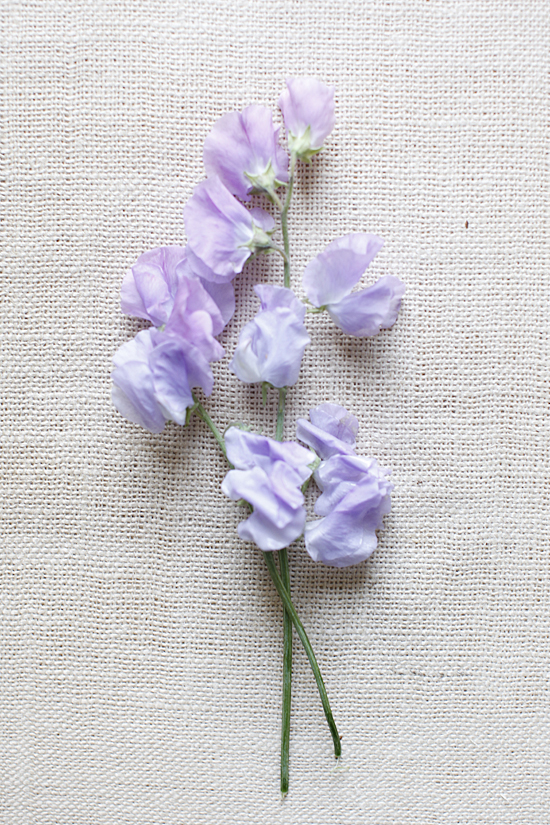 purple-and-red-wedding-flowers