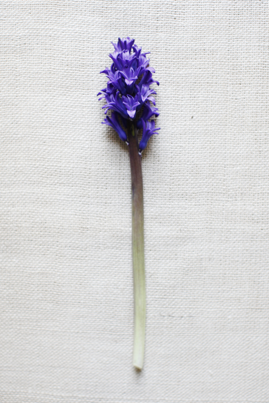 purple-and-red-wedding-flowers