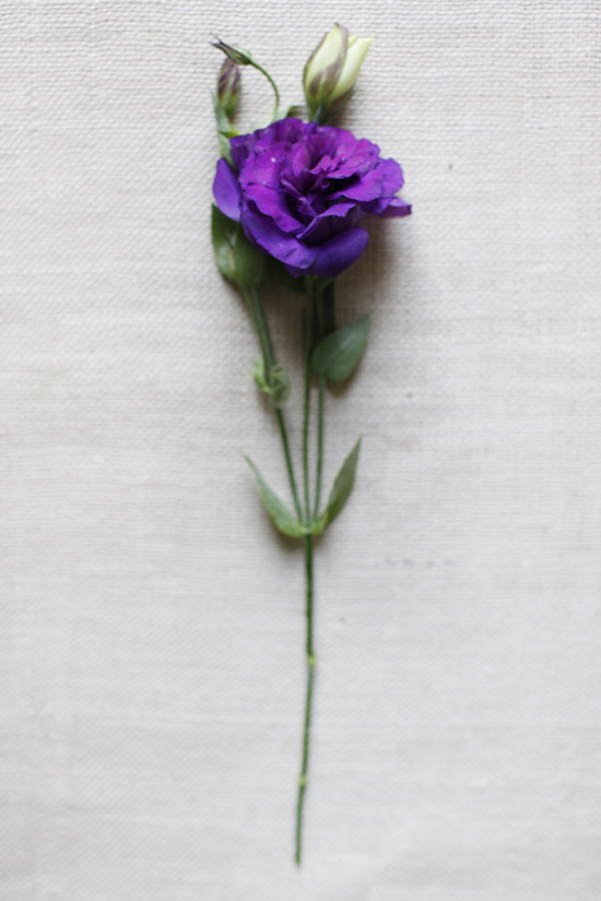 purple-and-red-wedding-flowers