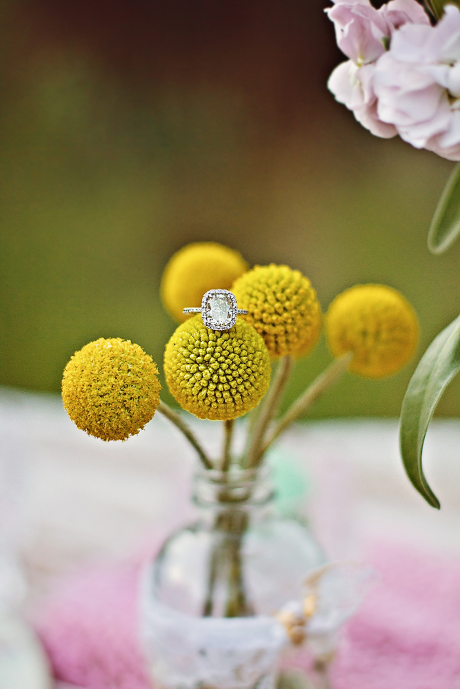boho-chic-engagement-session