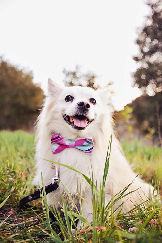 boho-chic-engagement-session