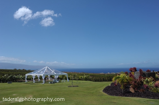 Kaanapali Coffee Farm Wedding