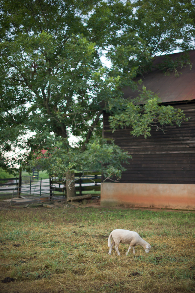 outdoor-country-engagement-by-jeremy