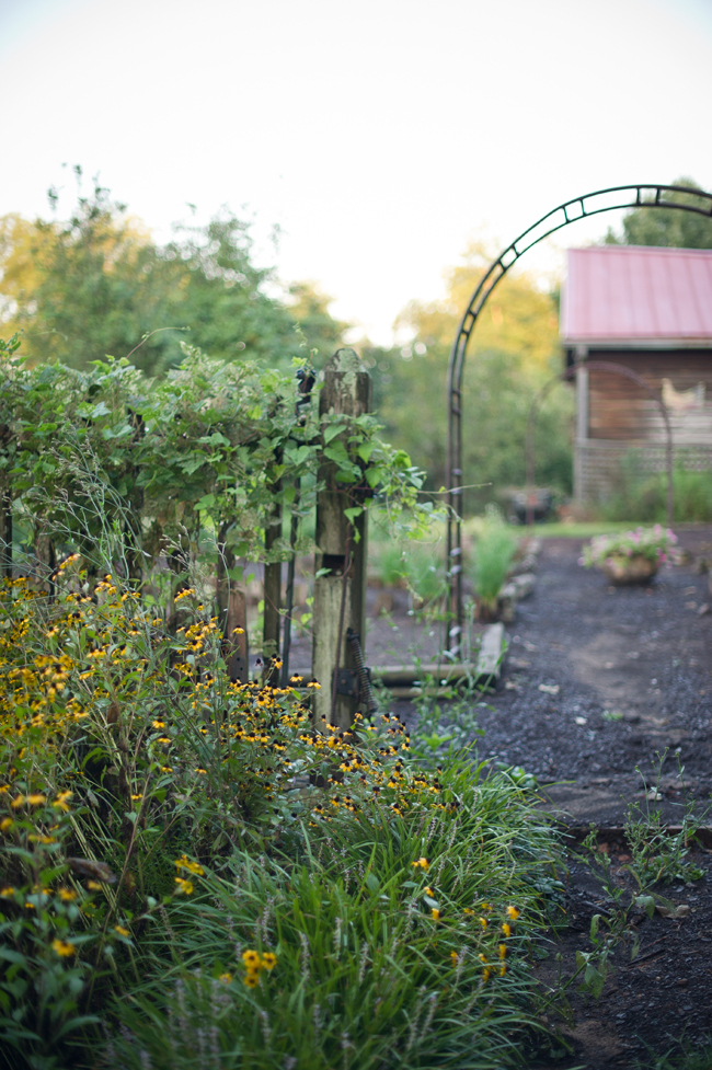 outdoor-country-engagement-by-jeremy