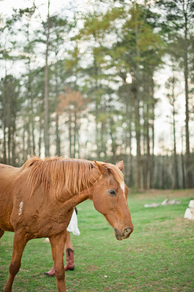 outdoor-country-engagement-by-jeremy