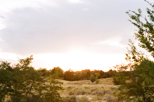 salt-lake-city-backyard-wedding