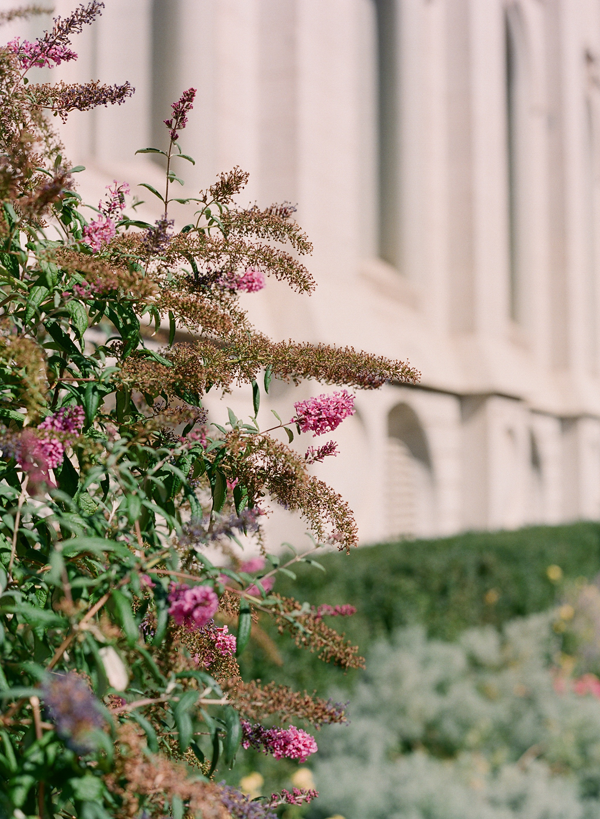 salt-lake-city-backyard-wedding