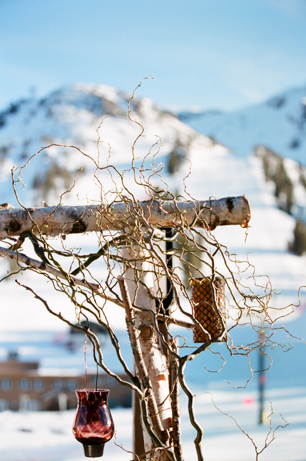 snowy-winter-wedding-ideas