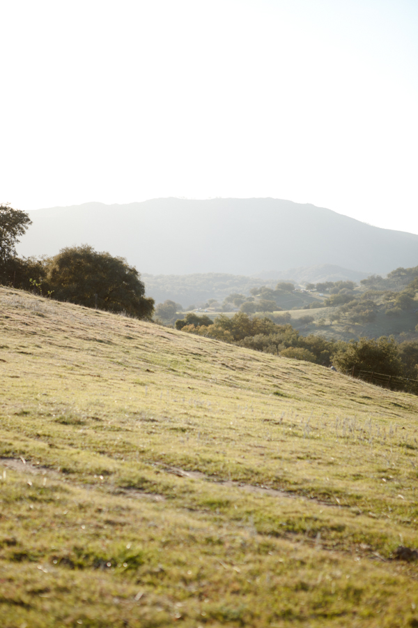 soft-vintage-engagement-session