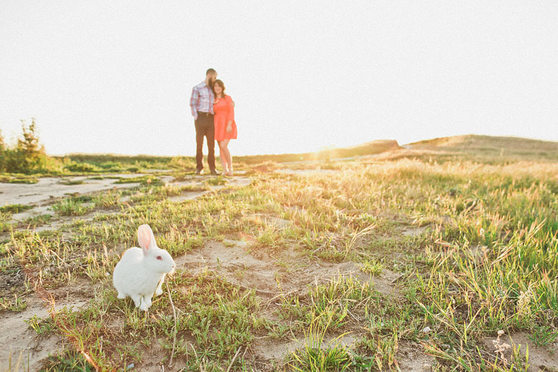 spring-time-engagement