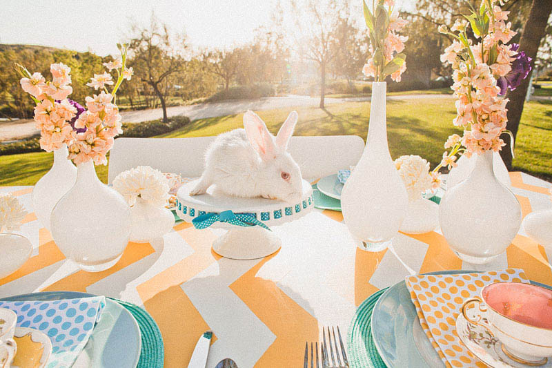 spring-time-engagement