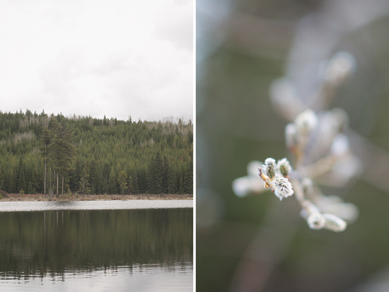 An Okanagan Mountain Rustic Wedding