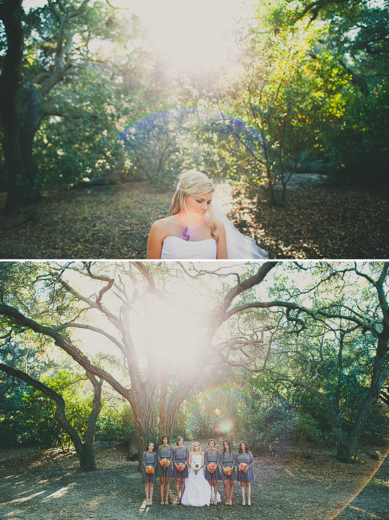 Outdoor wedding photo of bride and bridesmaids in nature
