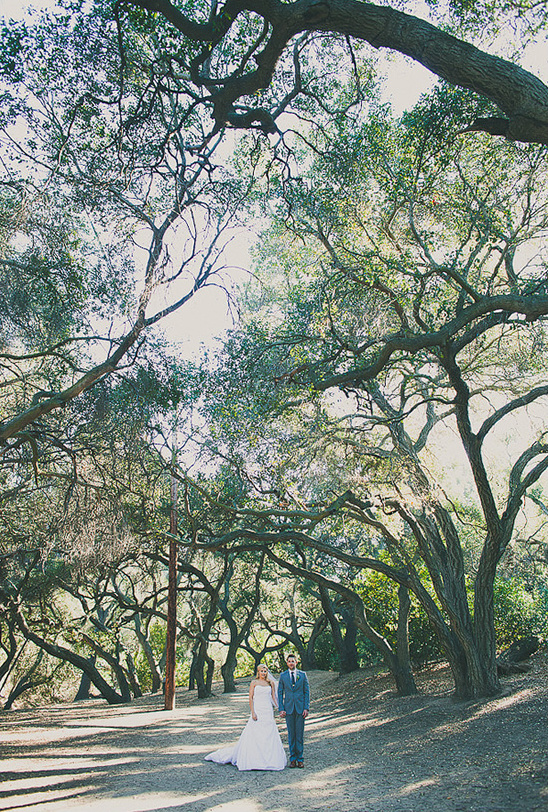 Bride and groom under oak trees wedding portrait