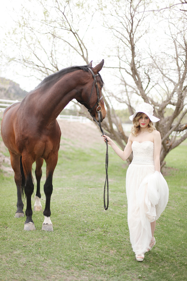 horse in wedding photos
