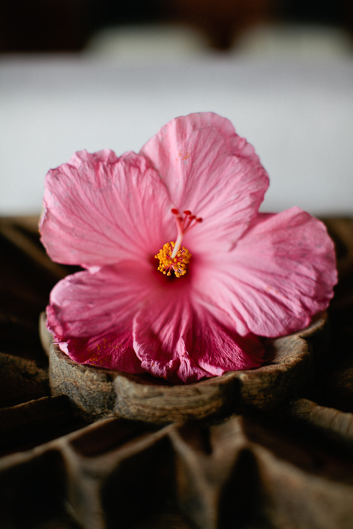 one-year-anniversary-shoot-in-hawaii