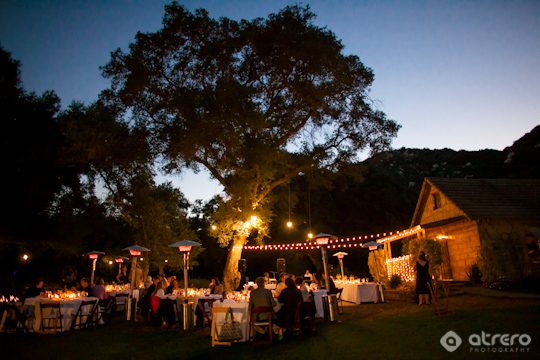 Romantic outdoor wedding reception under a giant oak tree