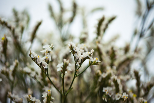 shabby-chic-engagement-session